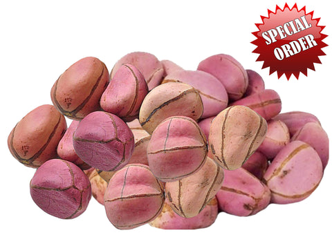 Igbo Kola (Obi Abata) Special Order 1.0 lb
